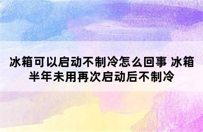 冰箱可以启动不制冷怎么回事 冰箱半年未用再次启动后不制冷